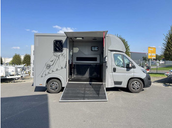 Fiat Böckmann Compact Stall LKW – Finanzierungsleasing Fiat Böckmann Compact Stall LKW: das Bild 1