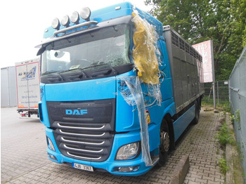 DAF XF 106 460 Tiertransporter LKW