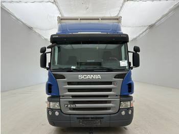 Plane LKW Scania P230: das Bild 2