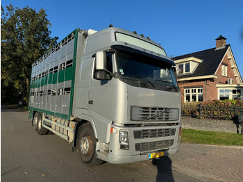 VOLVO FH12 500 Tiertransporter LKW