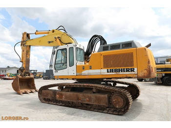 Kettenbagger Liebherr R 954 B: das Bild 2