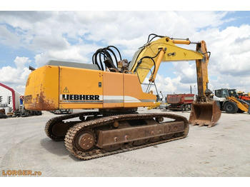 Kettenbagger Liebherr R 954 B: das Bild 3