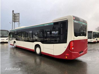 Überlandbus Mercedes Citaro O 530 C2: das Bild 3