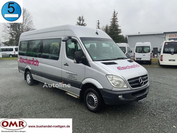 MERCEDES-BENZ Sprinter 516 Kleinbus