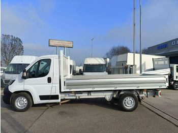 Pritsche Transporter FIAT DUCATO 35 L2H1: das Bild 4