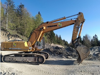 LIEBHERR R 954 Kettenbagger