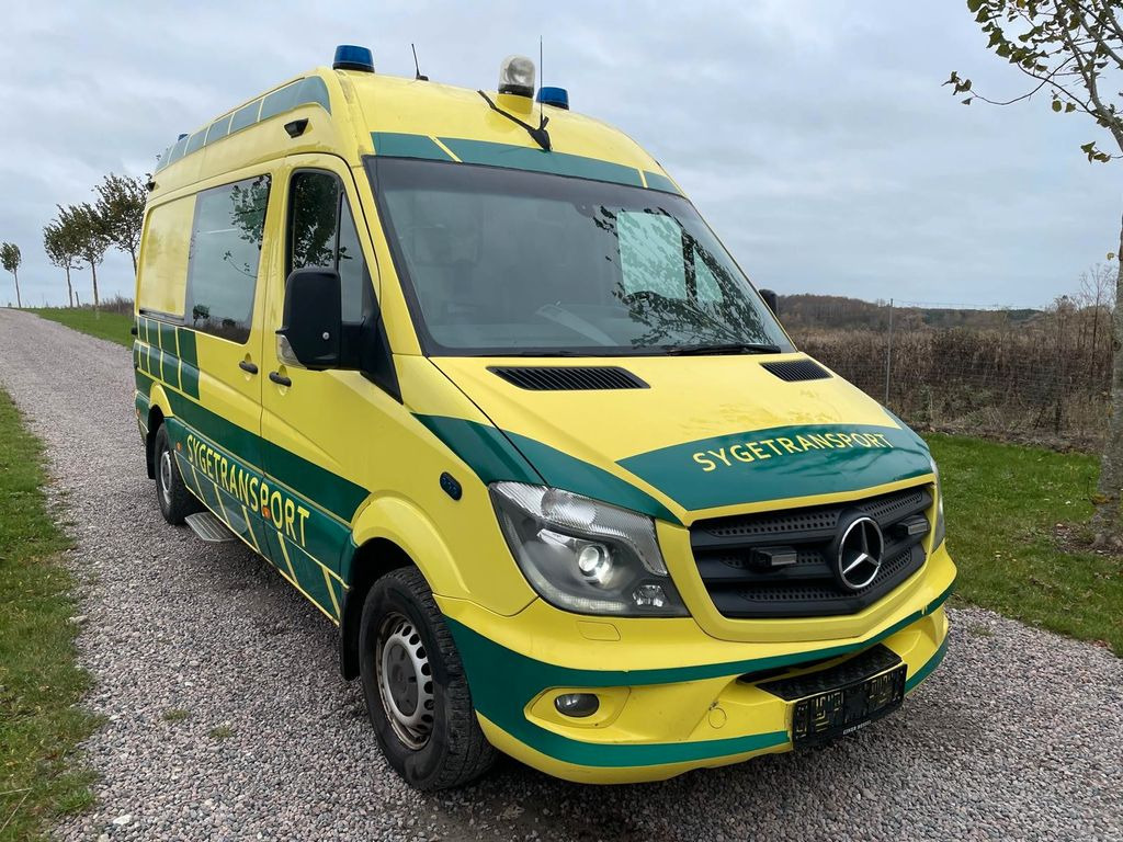 Kastenwagen Mercedes-Benz Sprinter II 316 CDI Aut Ambulance: das Bild 7